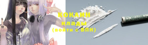 стаф Новодвинск