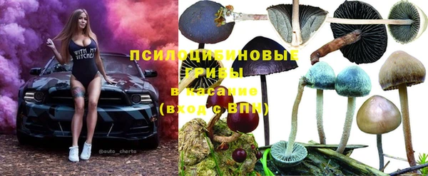 каннабис Абаза