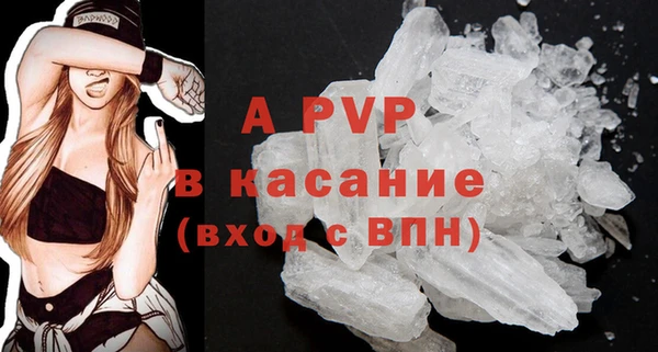 стаф Новодвинск
