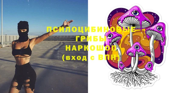 винт Новозыбков