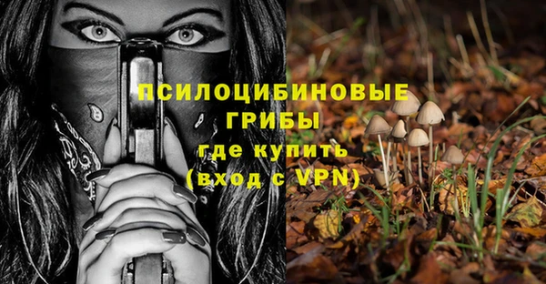 винт Новозыбков