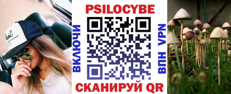 как найти закладки  Ртищево  Псилоцибиновые грибы Psilocybe 